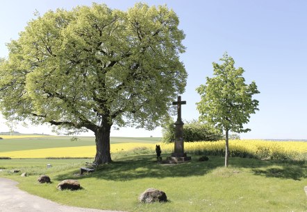 Blick auf den Bördeblick in Vlatten, © Rureifel-Tourismus e.V. Blick auf den Bördeblick in Vlatten, © Rureifel-Tourismus e.V.