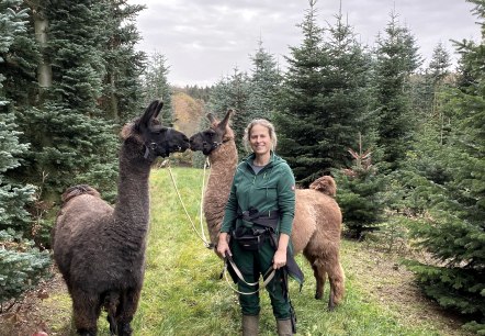 Waldbaden mit Lamas und Alpakas, © Anne Knein Waldbaden mit Lamas und Alpakas, © Anne Knein
