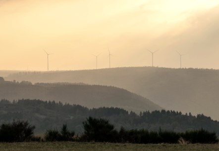 Nationalpark Eifel, © Nationalpark Eifel_Dominik Ketz Nationalpark Eifel, © Nationalpark Eifel_Dominik Ketz