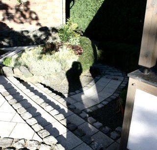 Treppe zur Fewo von oben Treppe zur Fewo von oben