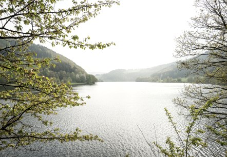 Obersee, © Städteregion Aachen/Dominik Ketz Obersee, © Städteregion Aachen/Dominik Ketz