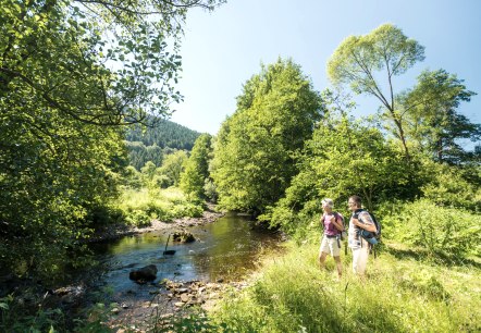 Wandern im Rurtal, © Städteregion Aachen/Dominik Ketz Wandern im Rurtal, © Städteregion Aachen/Dominik Ketz
