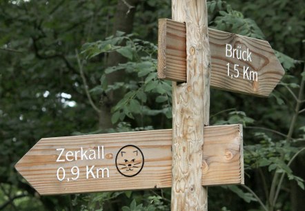 Wildnis-Trail, © Nationalpark Eifel M. Weisgerber Wildnis-Trail, © Nationalpark Eifel M. Weisgerber
