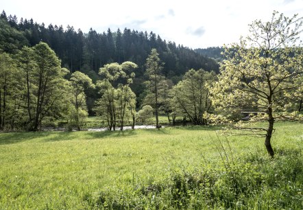 Ruraue, © Dominik Ketz, Städteregion Aachen Ruraue, © Dominik Ketz, Städteregion Aachen