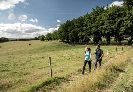Wandern auf örtlichen Rundwanderwegen, © Eifel Tourismus GmbH, Dominik Ketz Eifel Tourismus GmbH, Dominik Ketz