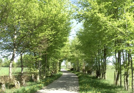 Heckenlandroute, © co. Günter Scheidt Heckenlandroute, © co. Günter Scheidt