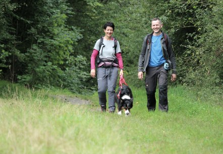 Wildnis-Trail, © Nationalpark Eifel M. Weisgerber Wildnis-Trail, © Nationalpark Eifel M. Weisgerber