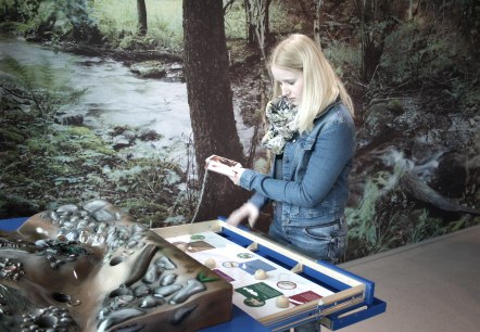 Ausstellung "Lebensadern der Natur" im Nationalpark-Tor Rurberg, © Rursee-Touristik / C. Freuen Ausstellung "Lebensadern der Natur" im Nationalpark-Tor Rurberg, © Rursee-Touristik / C. Freuen