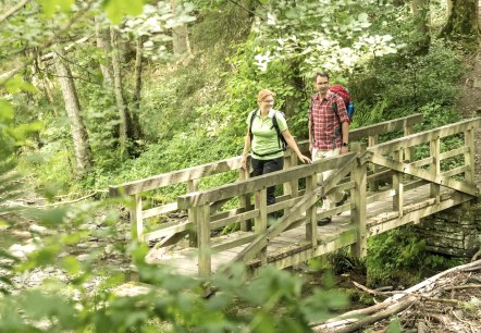 Wandern im Nationalpark Eifel, © Nationalpark Eifel/Dominik Ketz Wandern im Nationalpark Eifel, © Nationalpark Eifel/Dominik Ketz