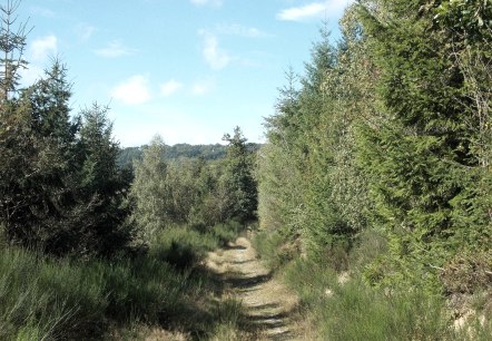 Wanderpfad, © Eifel heimisch Wanderpfad, © Eifel heimisch