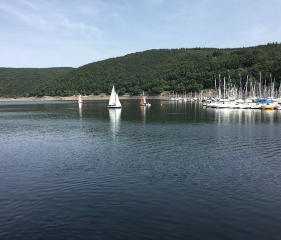 View of the Rursee with sailing boats, © Eifel Tourismus GmbH