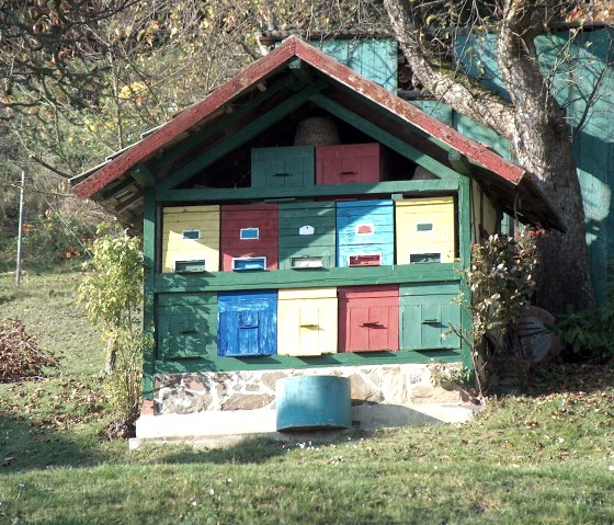 Bee house Woffelsbach, © Rursee-Touristik GmbH