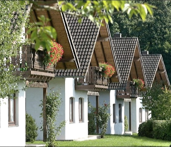 Ferienhaus Rursee Außenansicht
