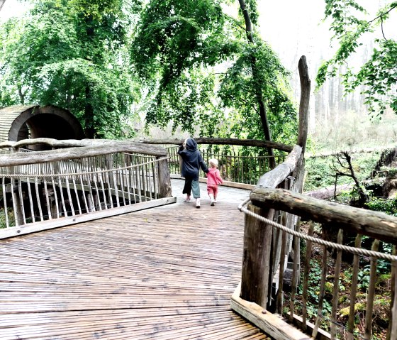 The Wild Path in the Eifel National Park, an experience for children, © Naturpark Nordeifel, Fotoagentur Wolf, freiheitswerke