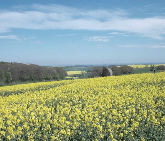 Weitblicke in die Natur, © Eifel heimisch