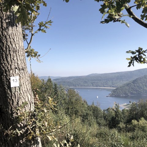 image00002, © Rursee-Touristik GmbH, Conni Schink
