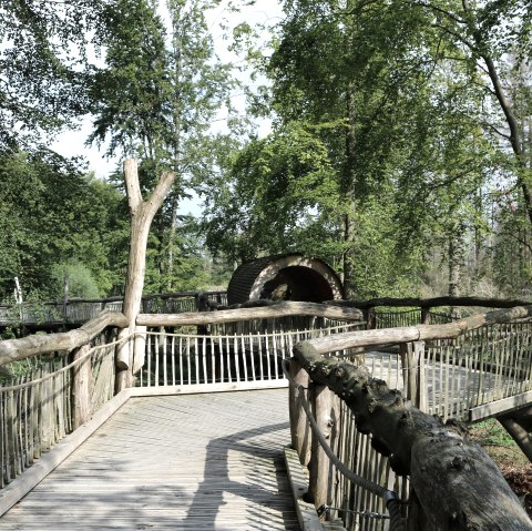 Wild way, © J. Dörstel / Nationalpark Eifel
