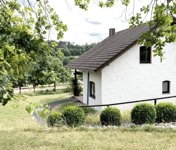 Ferienhaus Rursee Außenansicht