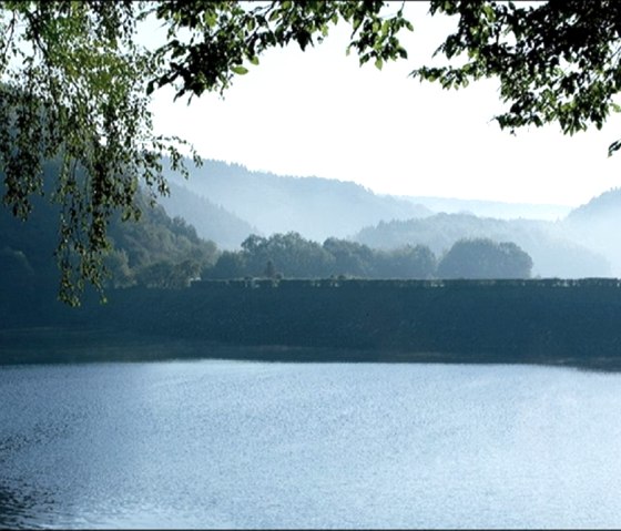 Blick auf den Rursee