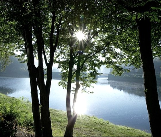 Blick auf den Rursee
