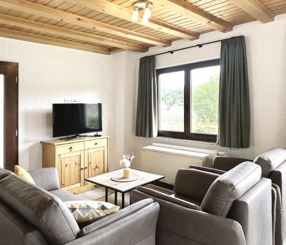 Ferienhaus Rursee Wohnbereich