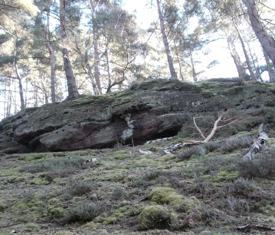 Geführte Wanderung ab Abenden, © Eifel heimisch