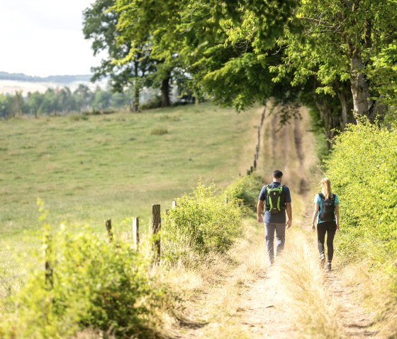 Hiking Rursee-Höhenweg, © Eifel Tourismus GmbH, Dominik Ketz