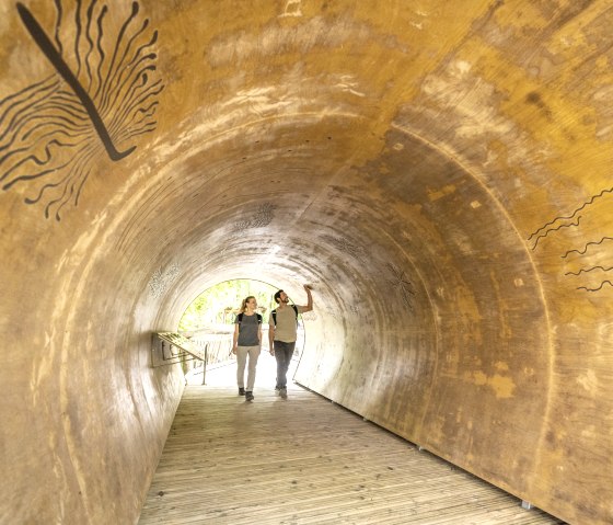 Out and about on the wild trail in the Eifel National Park, © Eifel Tourismus GmbH, Dominik Ketz