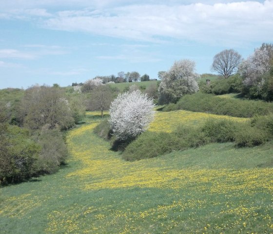 Ausblicke, © Eifel heimisch