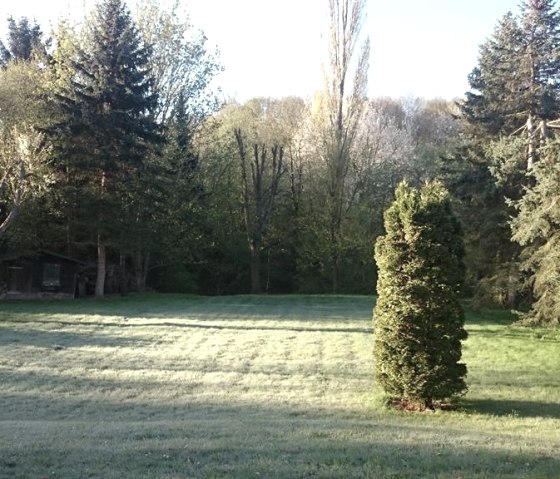 View of the garden
