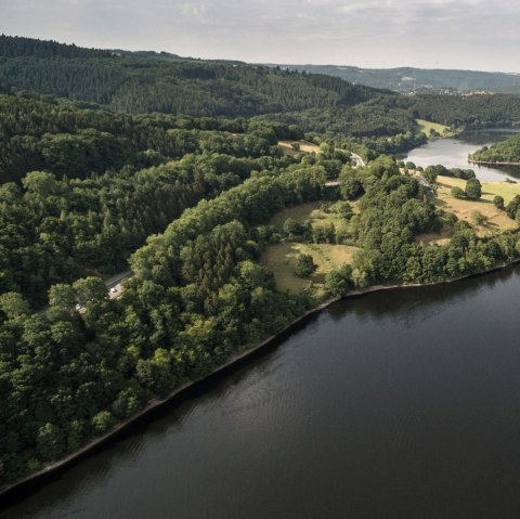 View into the valley from Einruhr on the Eifelsteig, © Eifel Tourismus/D. Ketz