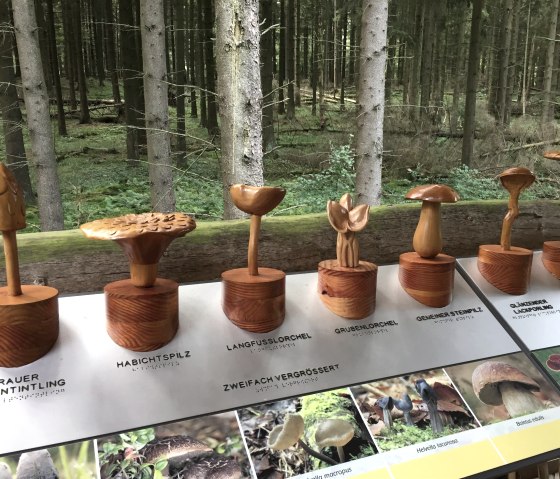 Wooden mushrooms on the wild trail in the Eifel National Park, © Eifel Tourismus GmbH