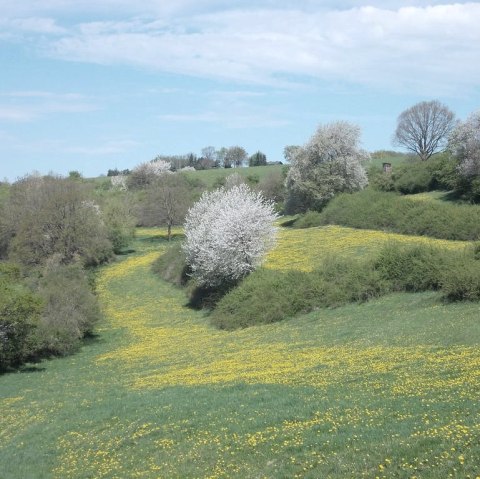 Ausblicke, © Eifel heimisch