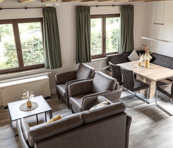 Ferienhaus Rursee Wohn- und Essbereich