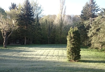 Blick in den Garten