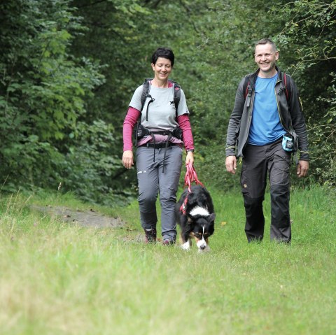 Wildnis-Trail, © Nationalpark Eifel M. Weisgerber