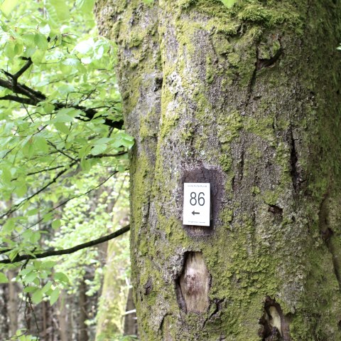 Markierung Wanderweg 86, © Gemeinde Simmerath
