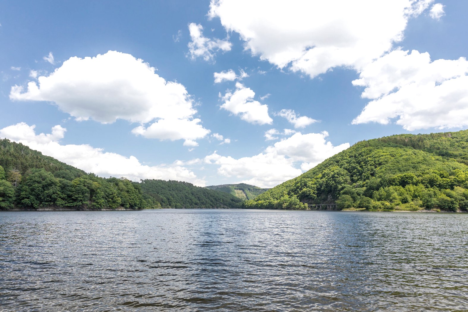Obersee zwischen Rurberg und Einruhr, © Eifel Tourismus GmbH, AR-shapefruit AG